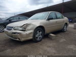 2005 Chevrolet Classic   Золотой vin: 1G1ND52F15M193339