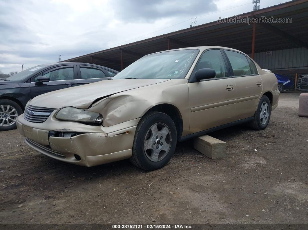 2005 Chevrolet Classic   Gold vin: 1G1ND52F15M193339