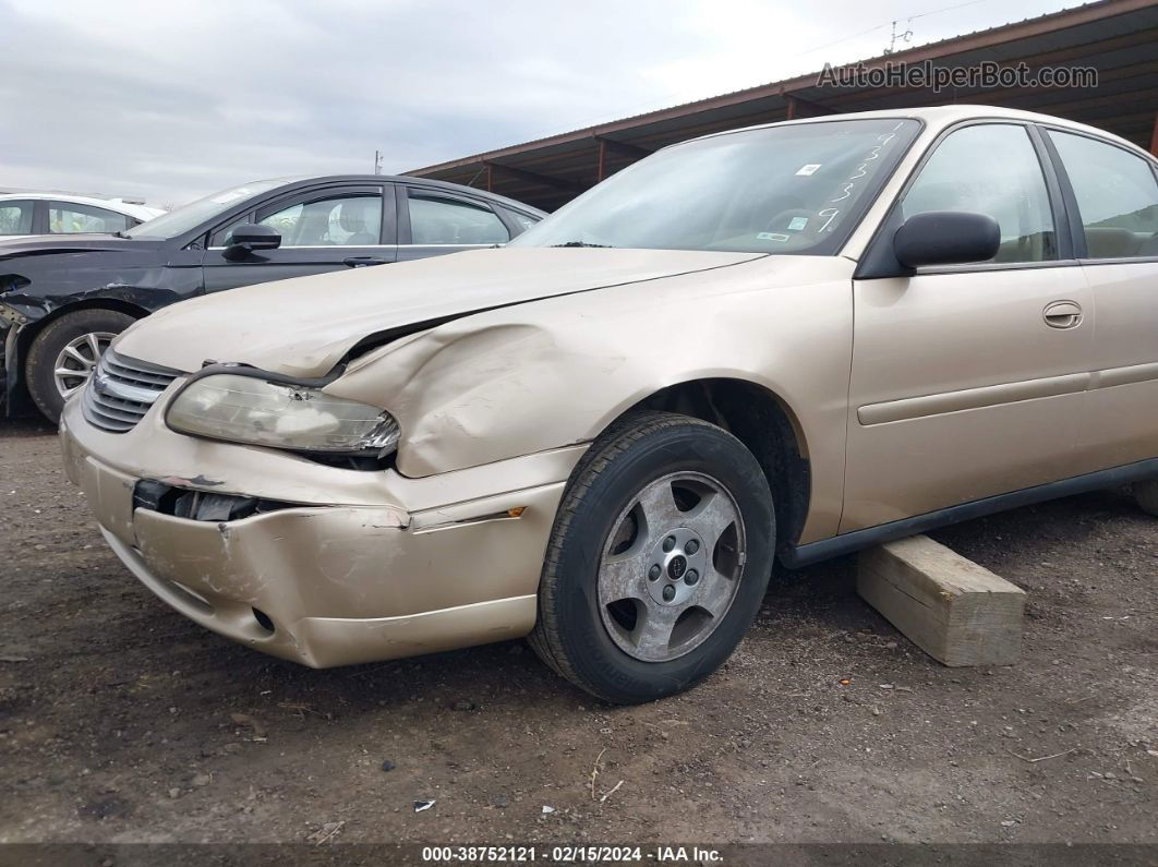 2005 Chevrolet Classic   Золотой vin: 1G1ND52F15M193339