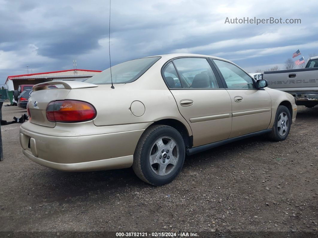 2005 Chevrolet Classic   Gold vin: 1G1ND52F15M193339