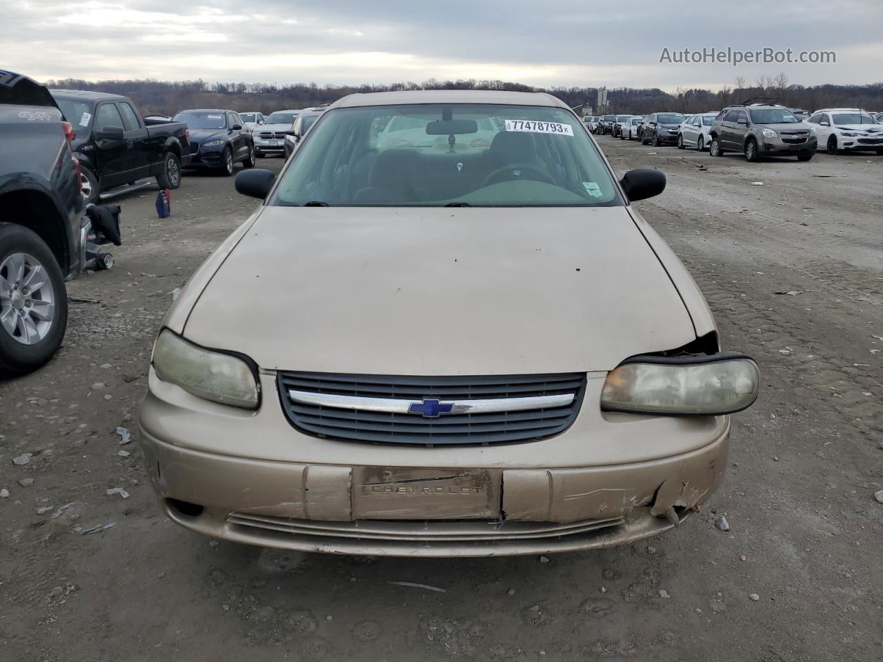 2005 Chevrolet Classic  Gold vin: 1G1ND52F15M199237