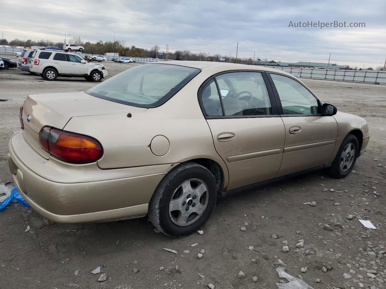 2005 Chevrolet Classic  Gold vin: 1G1ND52F15M199237