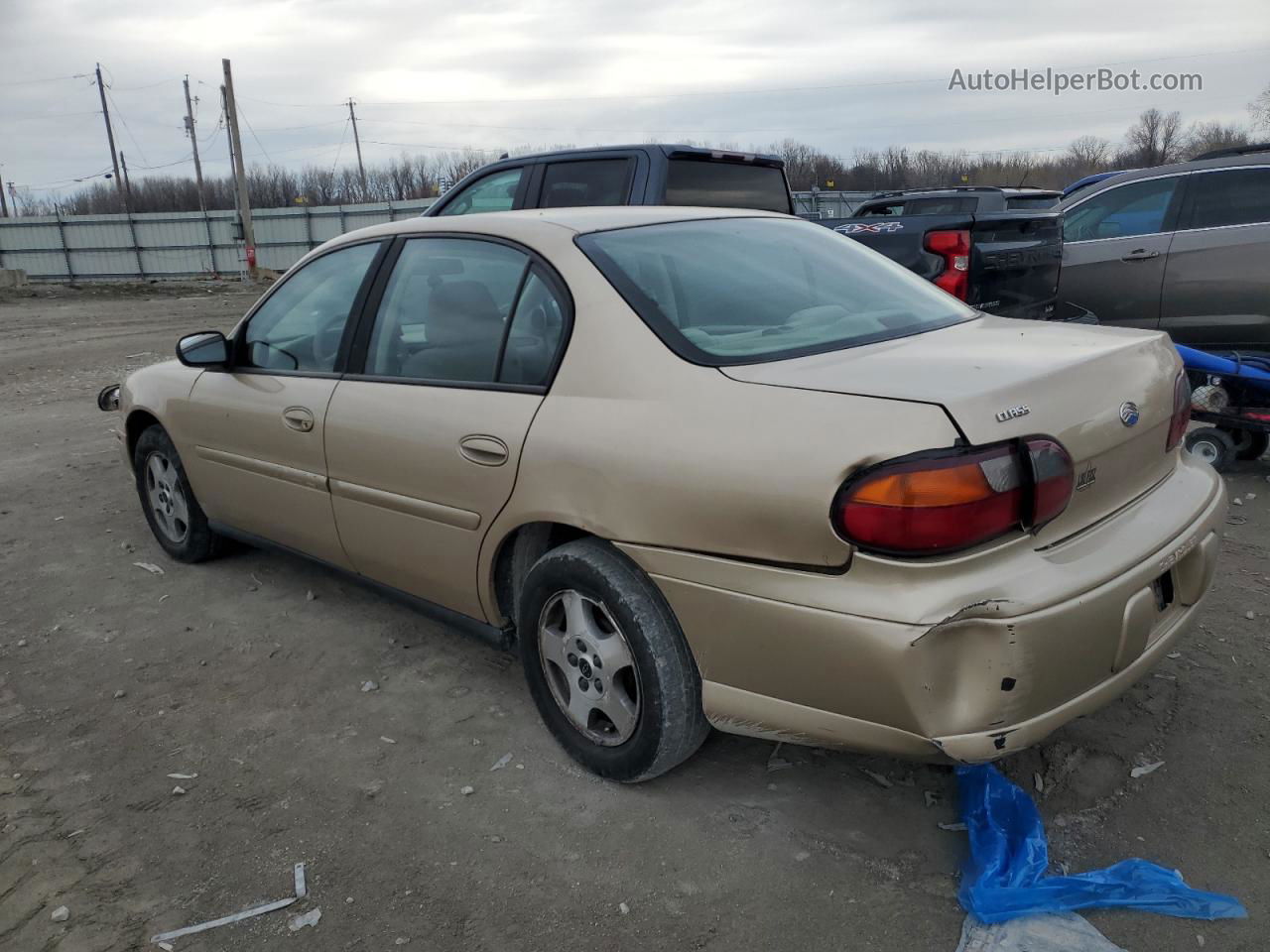 2005 Chevrolet Classic  Gold vin: 1G1ND52F15M199237