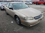 2005 Chevrolet Classic  Gold vin: 1G1ND52F15M199237