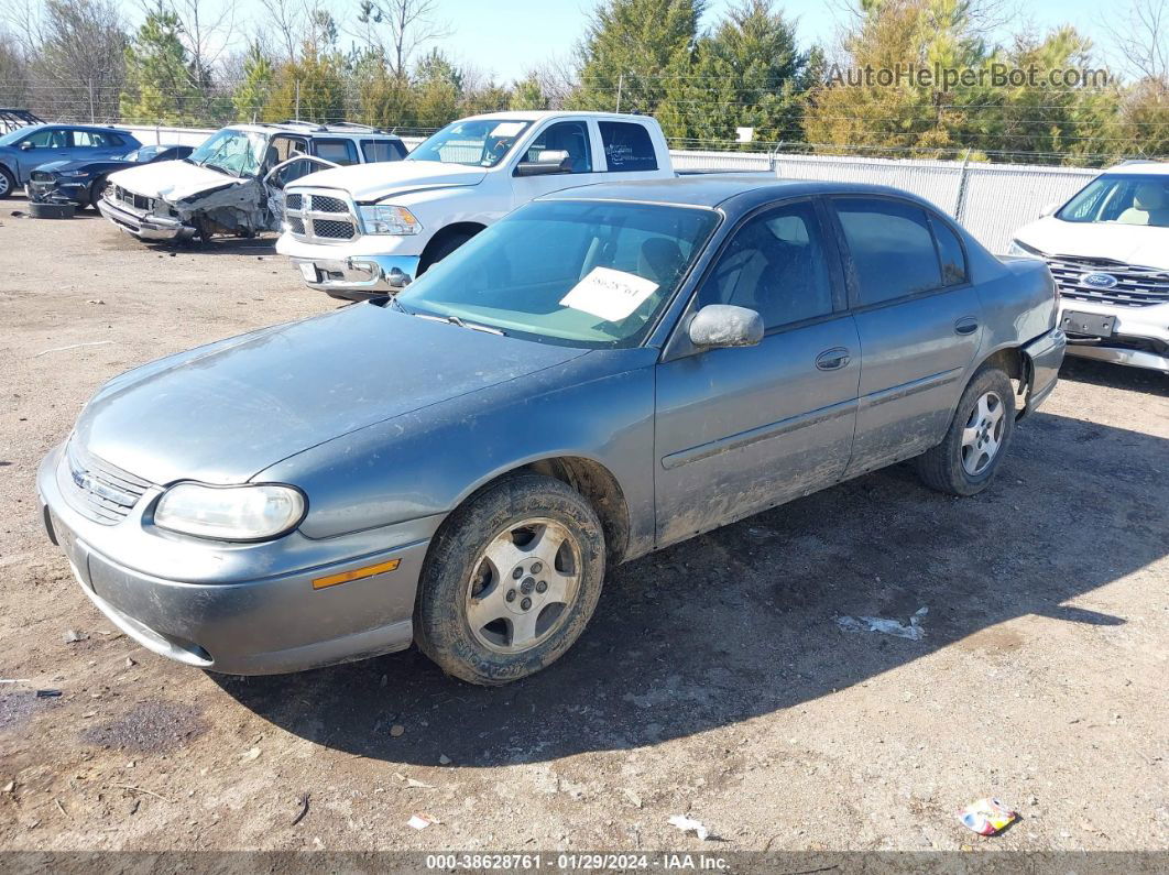 2005 Chevrolet Classic   Gray vin: 1G1ND52F15M243432