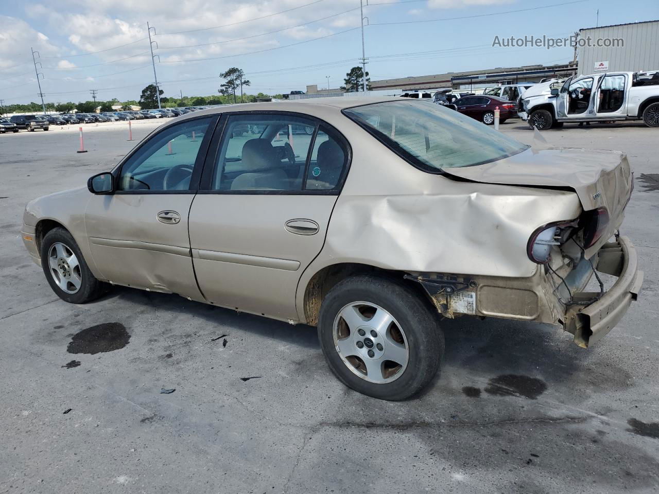 2005 Chevrolet Classic  Gold vin: 1G1ND52F25M147776