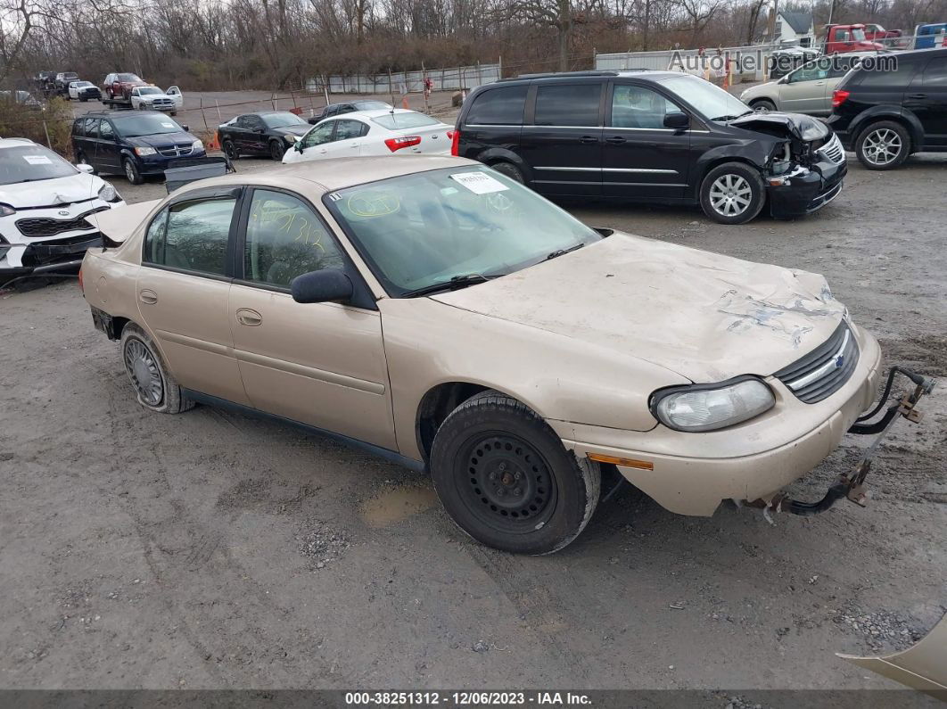 2005 Chevrolet Classic Gold vin: 1G1ND52F25M163606