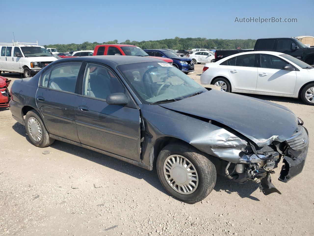 2005 Chevrolet Classic  Gray vin: 1G1ND52F25M189185