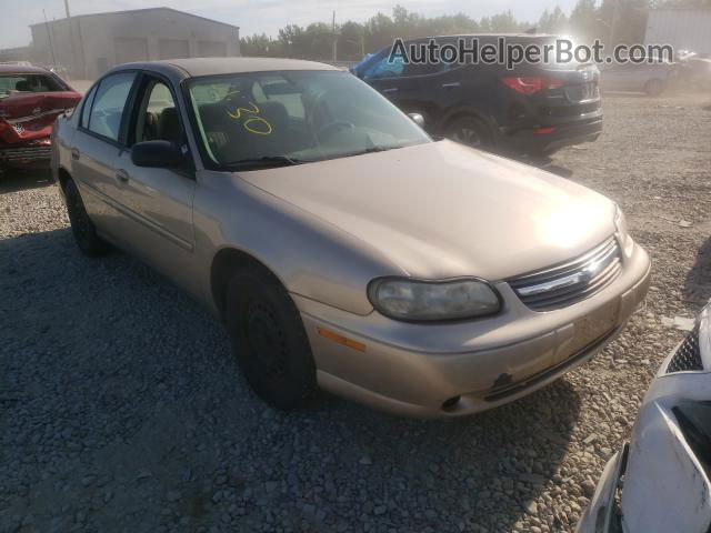 2005 Chevrolet Classic Tan vin: 1G1ND52F25M191423