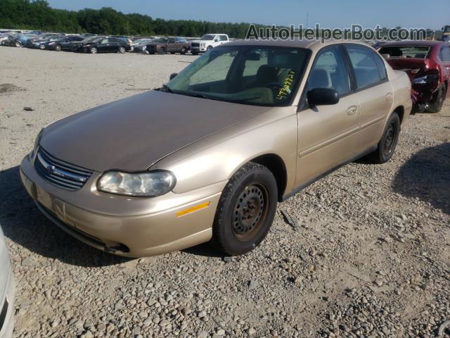 2005 Chevrolet Classic Tan vin: 1G1ND52F25M191423