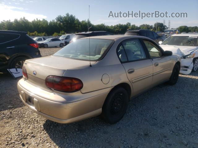 2005 Chevrolet Classic Tan vin: 1G1ND52F25M191423