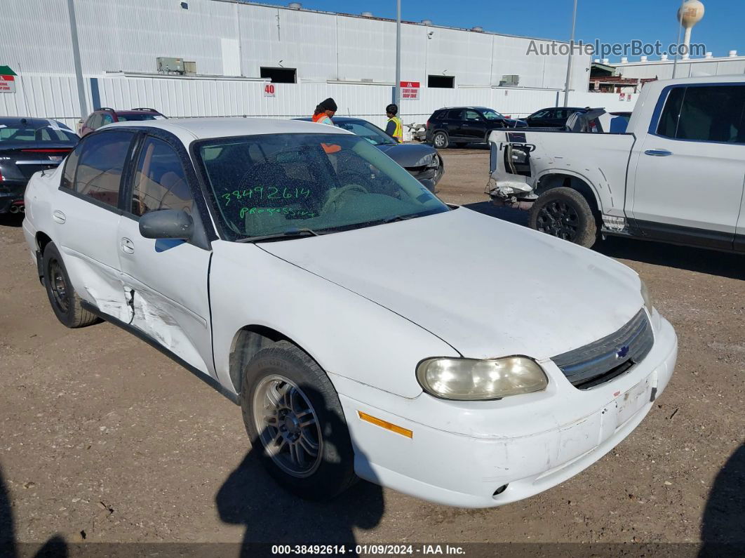 2005 Chevrolet Classic   White vin: 1G1ND52F25M196279