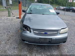 2005 Chevrolet Classic   Gray vin: 1G1ND52F25M212819