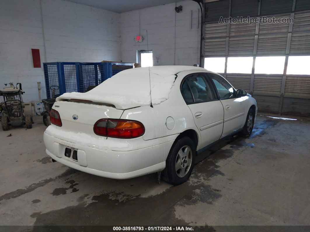 2005 Chevrolet Classic   White vin: 1G1ND52F25M230723