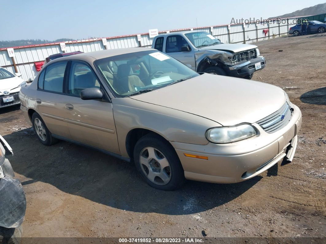 2005 Chevrolet Classic   Gold vin: 1G1ND52F35M200954