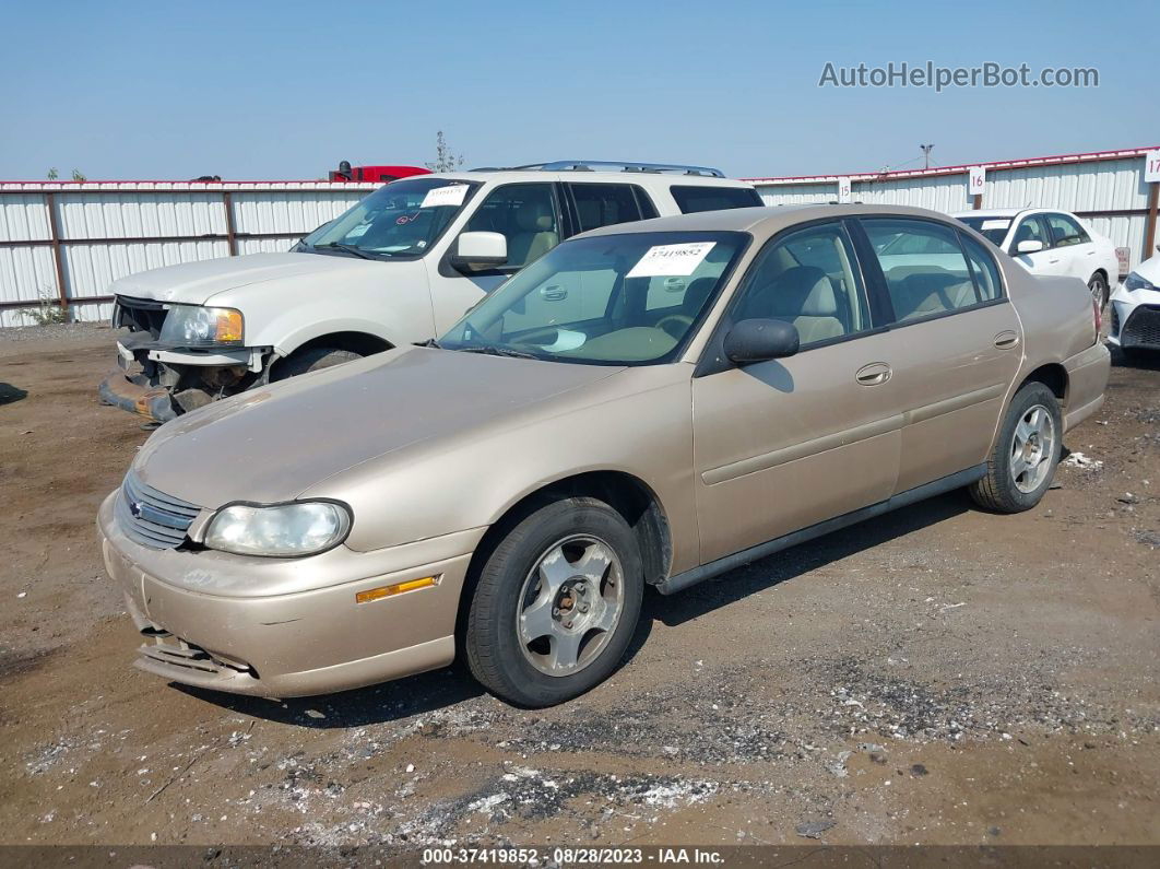 2005 Chevrolet Classic   Gold vin: 1G1ND52F35M200954