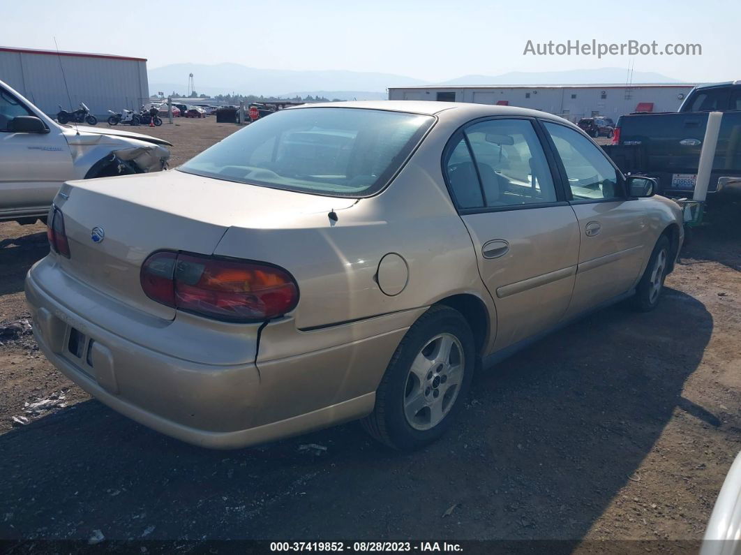 2005 Chevrolet Classic   Gold vin: 1G1ND52F35M200954