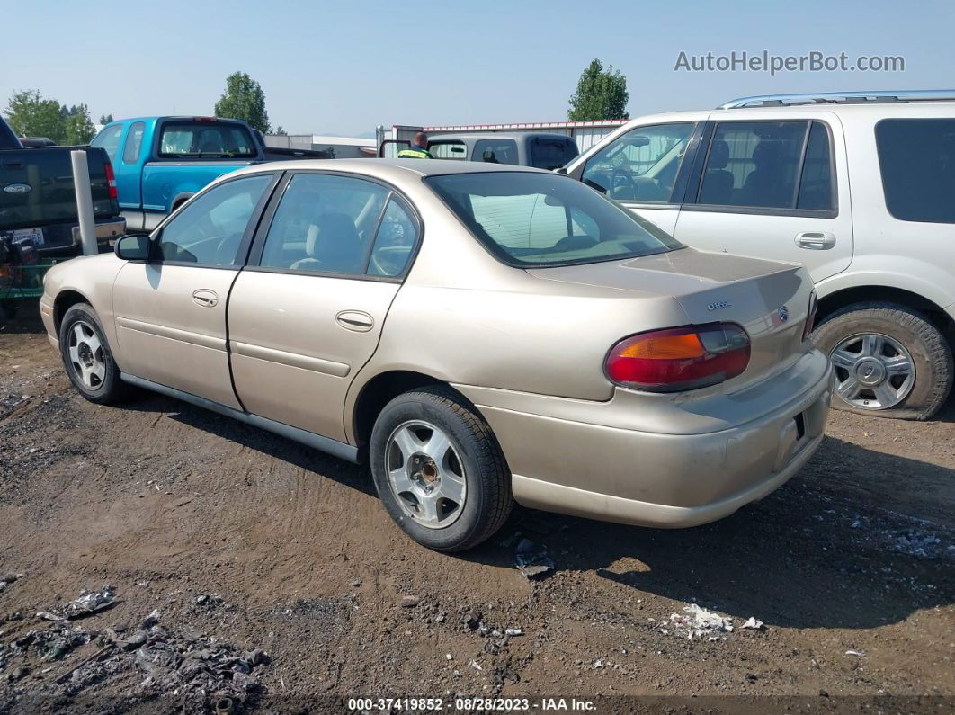 2005 Chevrolet Classic   Gold vin: 1G1ND52F35M200954