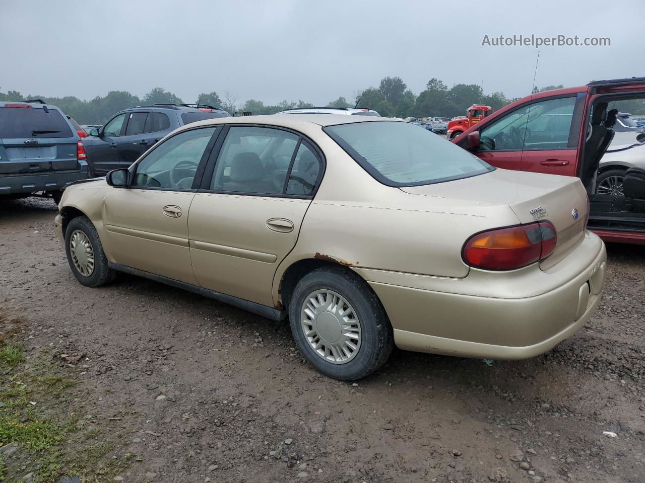 2005 Chevrolet Classic  Золотой vin: 1G1ND52F35M213428