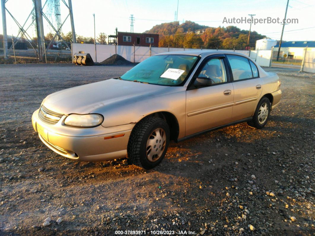 2005 Chevrolet Classic   Tan vin: 1G1ND52F35M226356