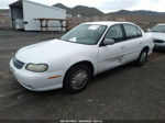 2005 Chevrolet Classic   White vin: 1G1ND52F45M131711