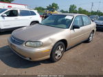 2005 Chevrolet Classic   Gold vin: 1G1ND52F45M167060