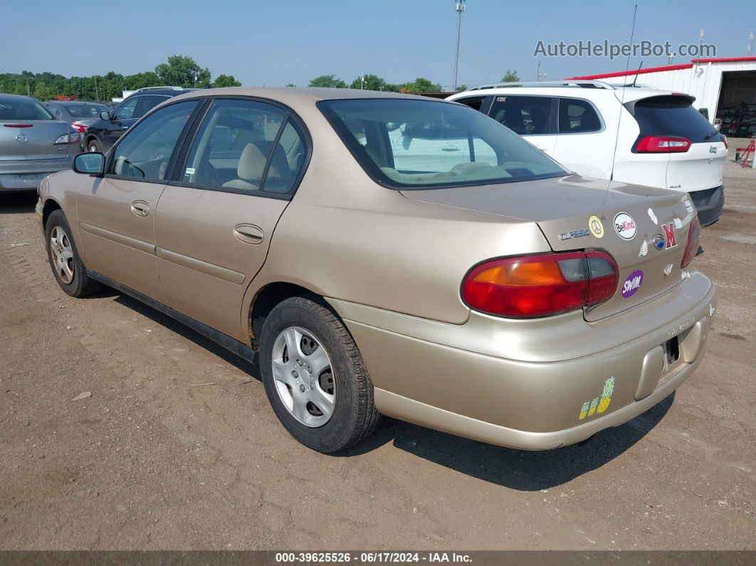 2005 Chevrolet Classic   Gold vin: 1G1ND52F45M167060