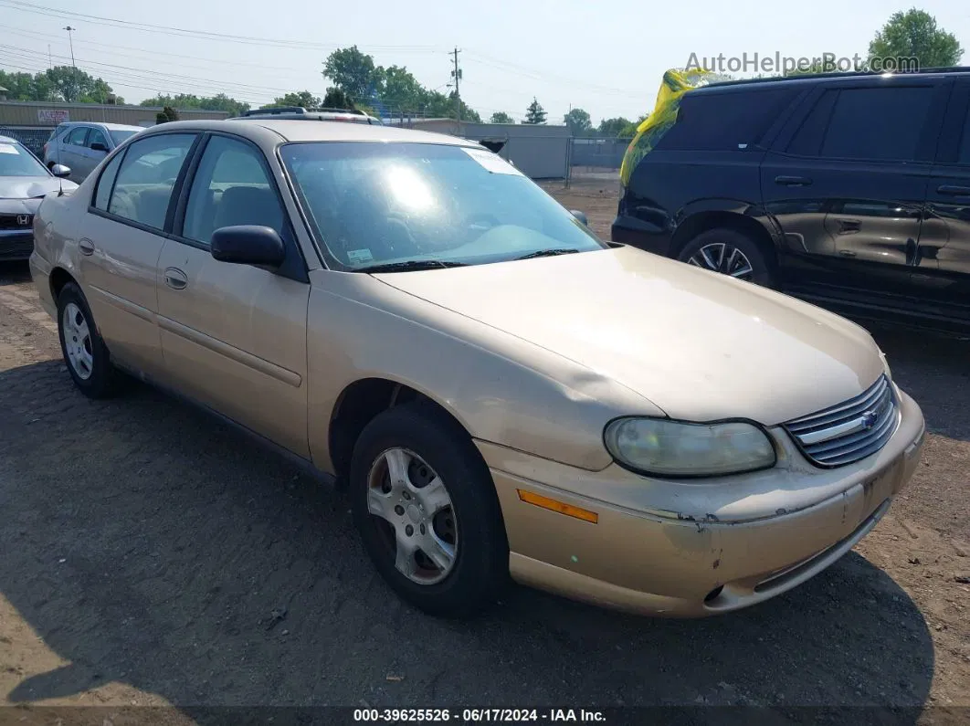 2005 Chevrolet Classic   Gold vin: 1G1ND52F45M167060