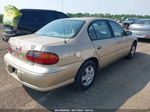 2005 Chevrolet Classic   Gold vin: 1G1ND52F45M167060