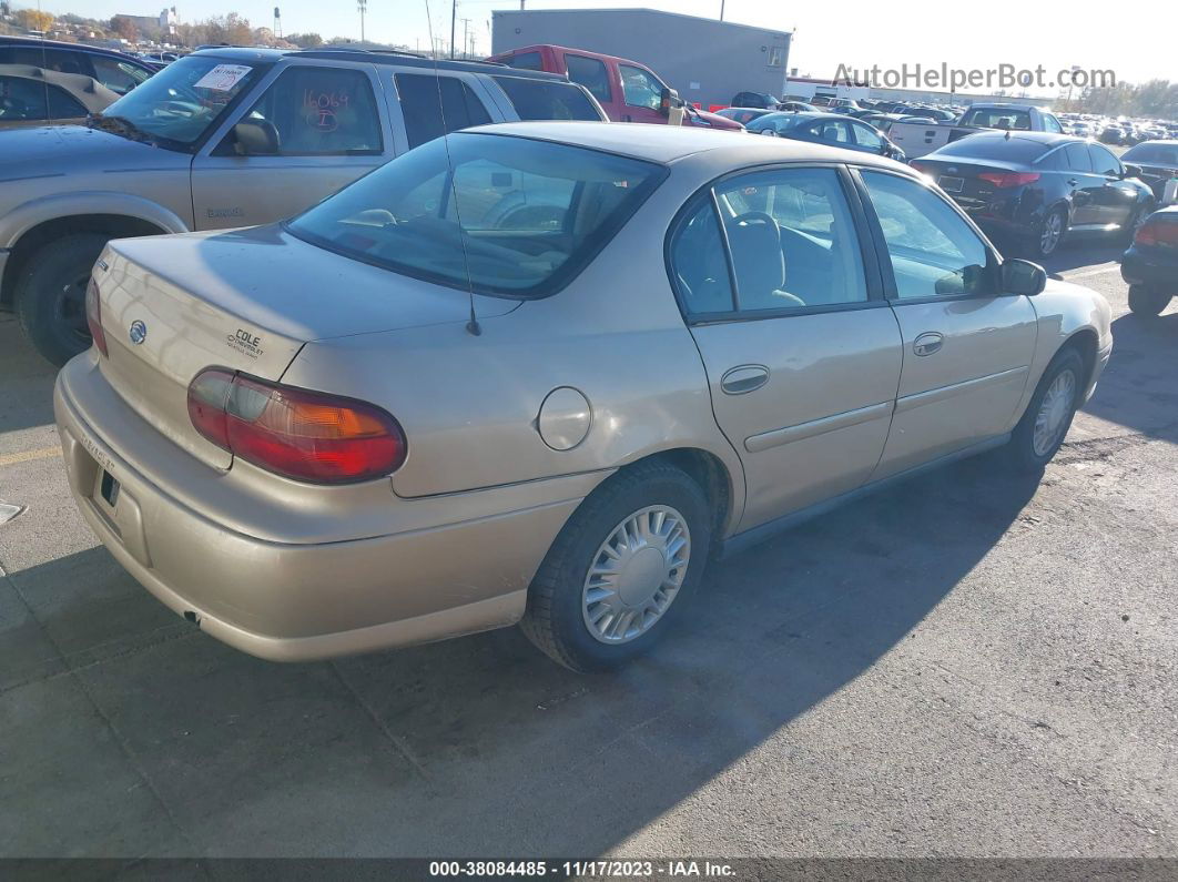 2005 Chevrolet Classic   Gold vin: 1G1ND52F45M182206