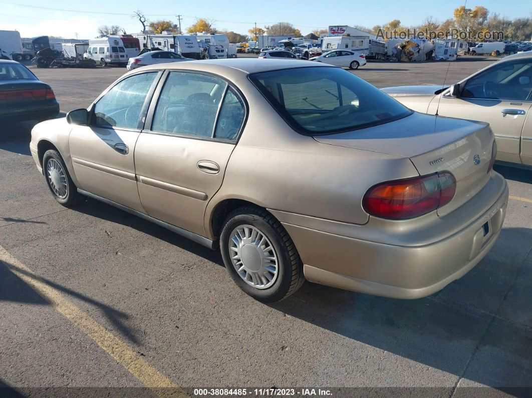 2005 Chevrolet Classic   Gold vin: 1G1ND52F45M182206