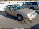 2005 Chevrolet Classic   Gold vin: 1G1ND52F45M182206