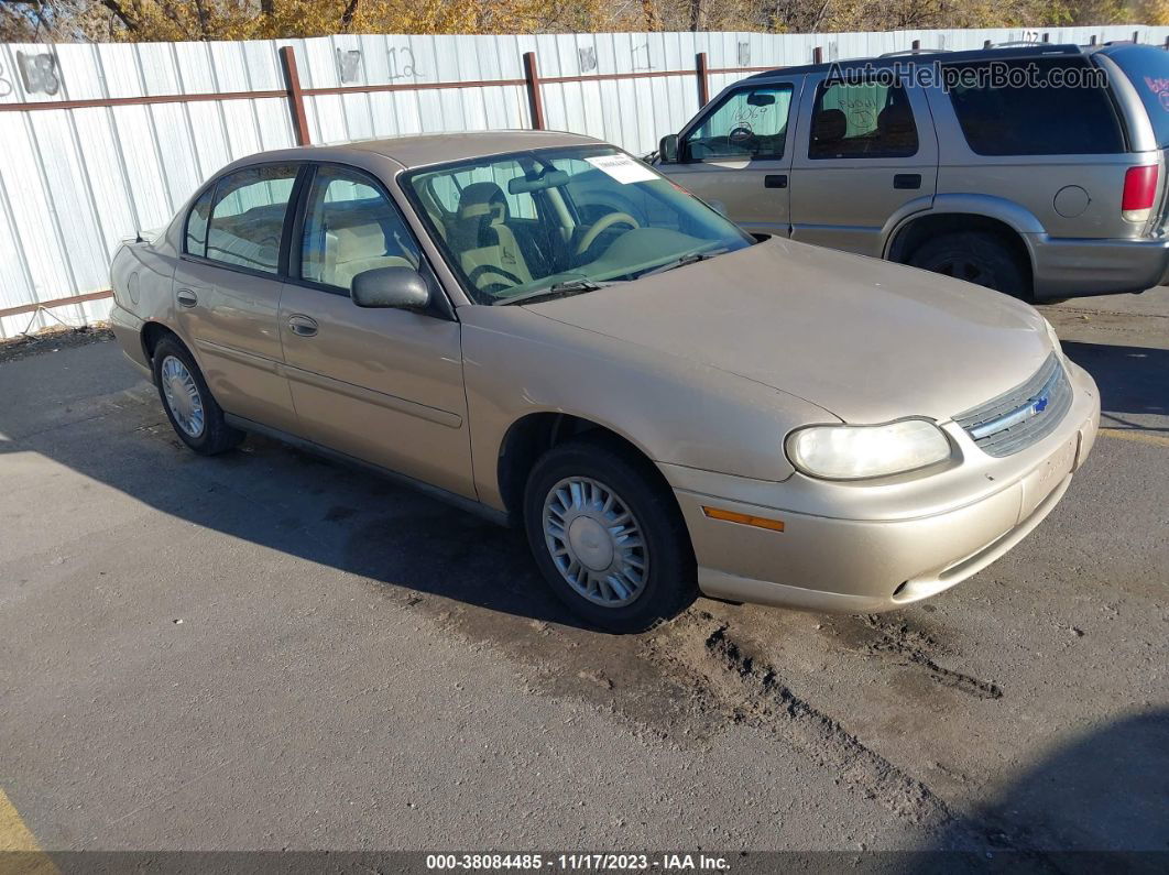 2005 Chevrolet Classic   Gold vin: 1G1ND52F45M182206