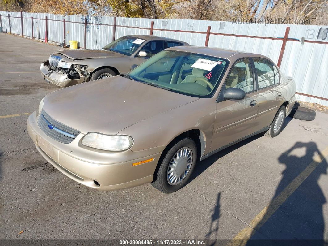 2005 Chevrolet Classic   Gold vin: 1G1ND52F45M182206