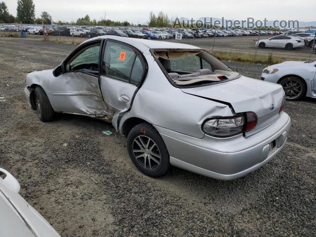 2005 Chevrolet Classic  Silver vin: 1G1ND52F45M213311