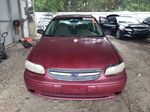 2005 Chevrolet Classic  Burgundy vin: 1G1ND52F45M224745