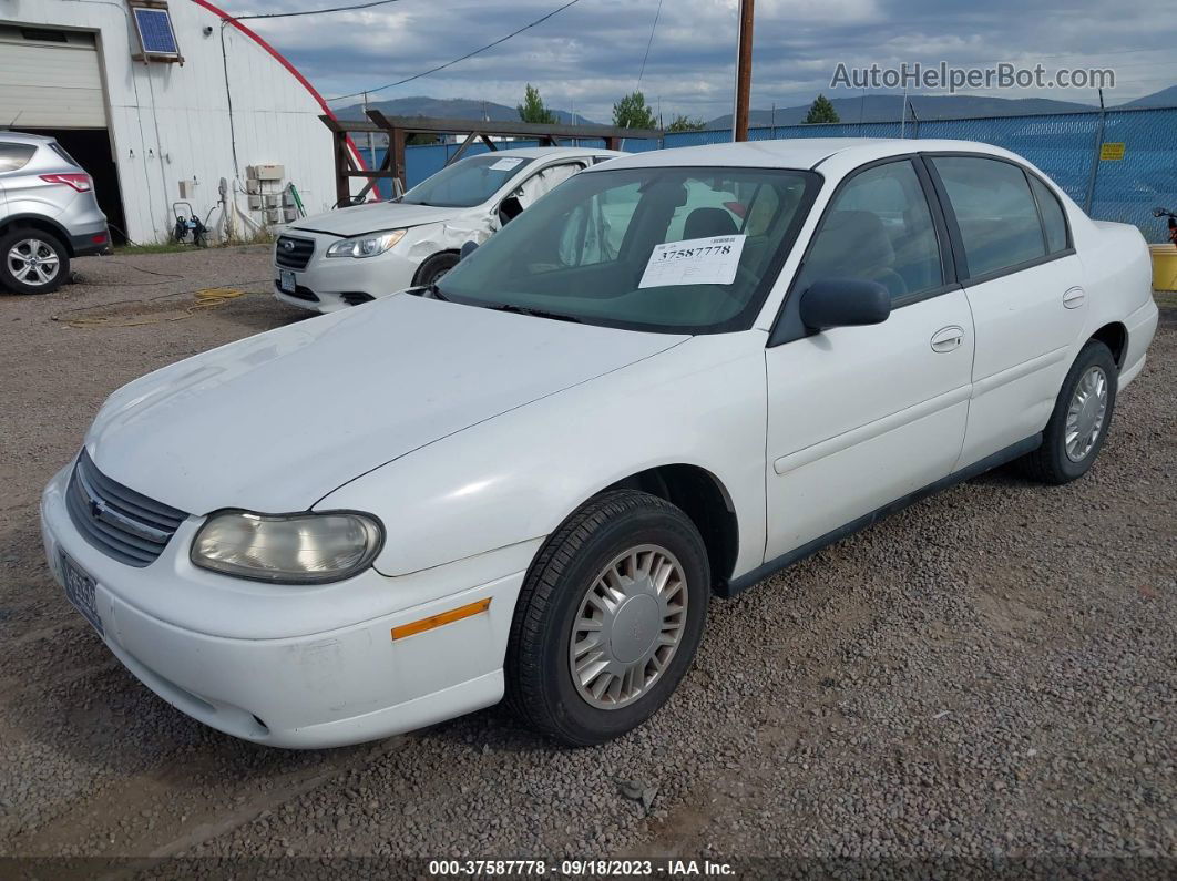 2005 Chevrolet Classic   White vin: 1G1ND52F45M236006