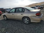 2005 Chevrolet Classic  Gold vin: 1G1ND52F45M245904