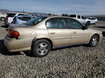 2005 Chevrolet Classic  Gold vin: 1G1ND52F45M245904