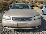 2005 Chevrolet Classic  Gold vin: 1G1ND52F45M245904