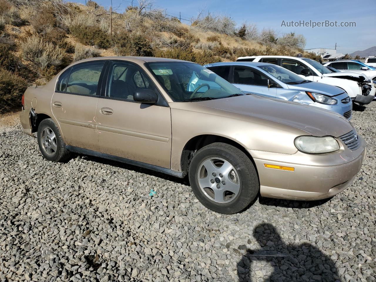 2005 Chevrolet Classic  Gold vin: 1G1ND52F45M245904