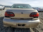 2005 Chevrolet Classic  Gold vin: 1G1ND52F45M245904