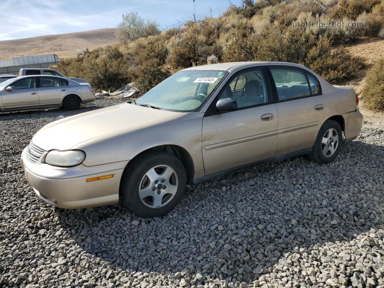 2005 Chevrolet Classic  Gold vin: 1G1ND52F45M245904