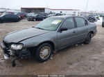 2005 Chevrolet Classic   Серый vin: 1G1ND52F55M133029