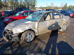 2005 Chevrolet Classic   Золотой vin: 1G1ND52F55M194638