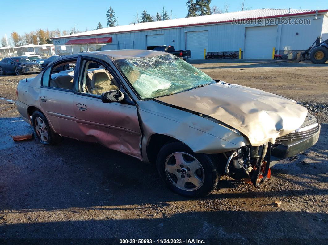 2005 Chevrolet Classic   Золотой vin: 1G1ND52F55M194638