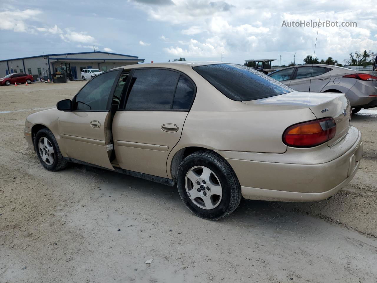 2005 Chevrolet Classic  Gold vin: 1G1ND52F55M203399