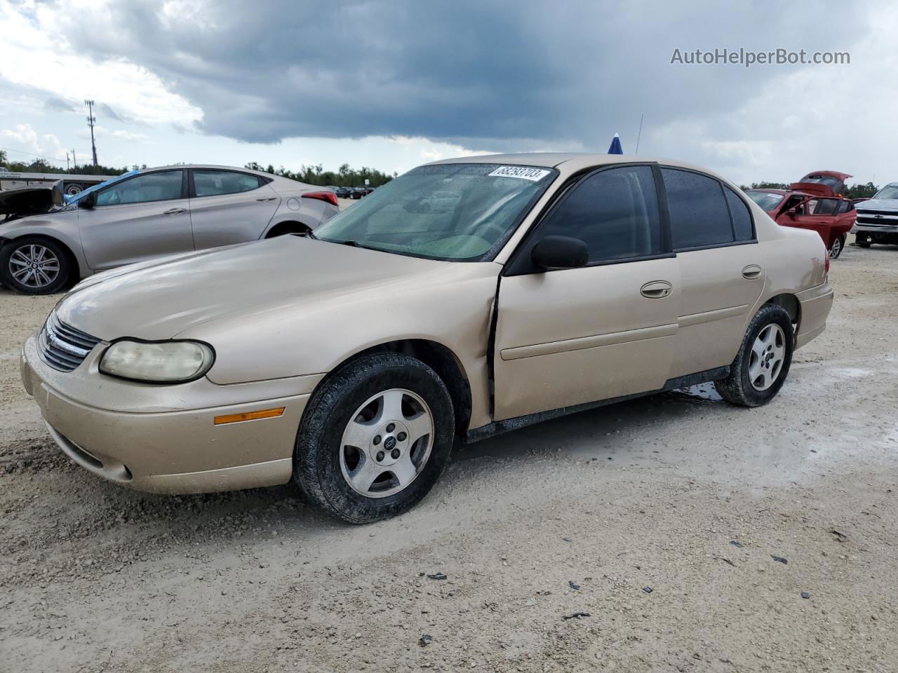 2005 Chevrolet Classic  Gold vin: 1G1ND52F55M203399