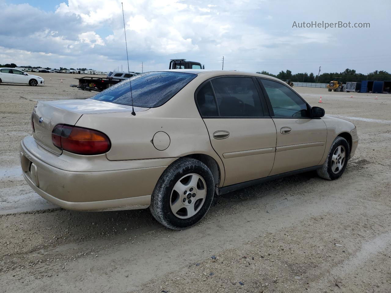 2005 Chevrolet Classic  Gold vin: 1G1ND52F55M203399