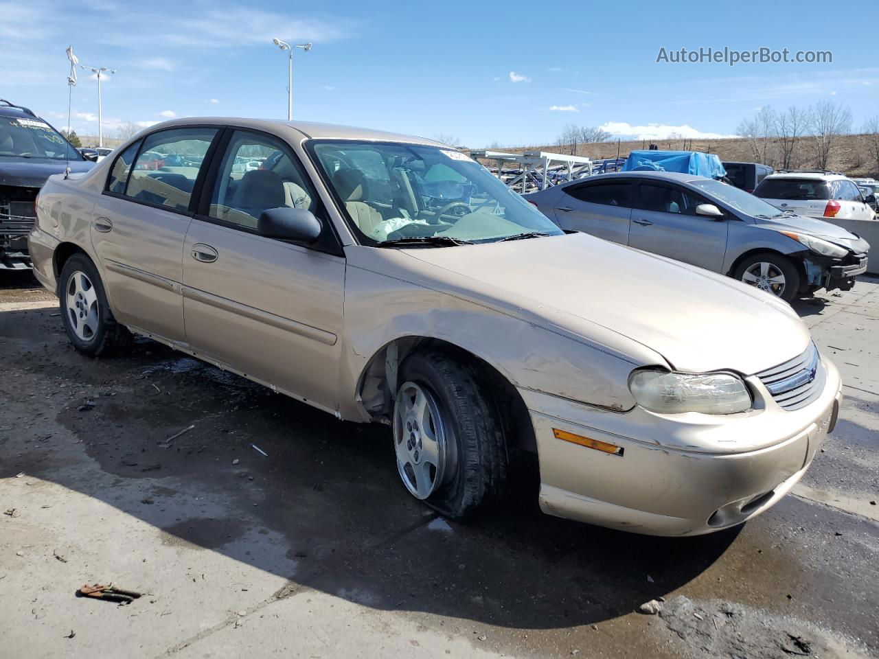 2005 Chevrolet Classic  Tan vin: 1G1ND52F55M209302